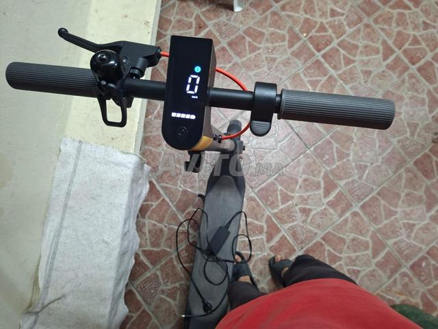 4lite 2end براكلاه نقية زوينة وواعر بالكرطونة - 2