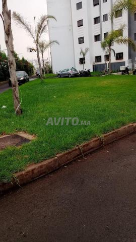 شقة أولفة - 2