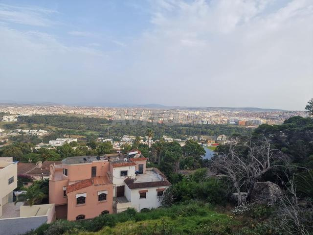 Terrain 1750m2 zone villa jbel kbir - 2