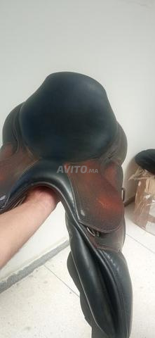 سرج قفز مقاس 18 - 2