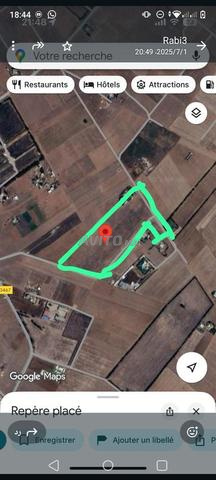 Terrain agricole à vendre près de Bir Jdid à prix raisonnable - 2