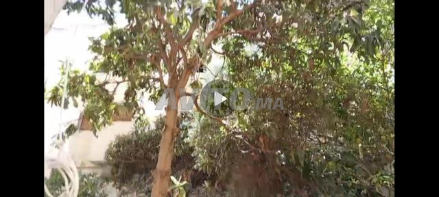 Maison à vendre dans le quartier de Soukaina - 2