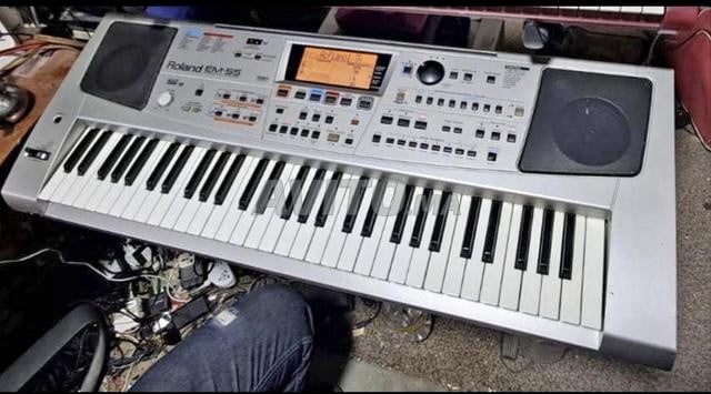 أورغ رولاند EM55