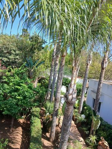 أرض للبيع بحي دار السلام - 2