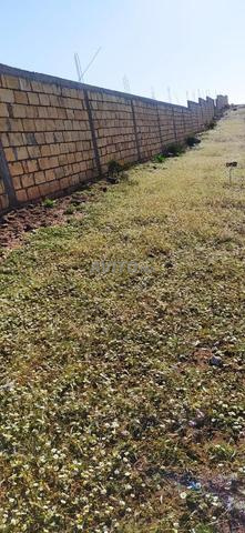 Terrain agricole avec villa - 2