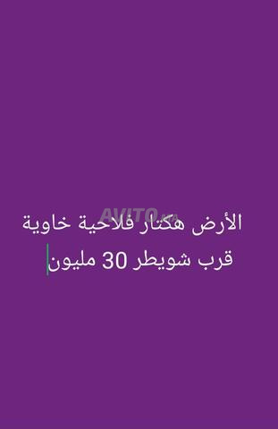 أرض فلاحية خاوية هكتار بجوار شويطر بـ 30 مليون، ملكية