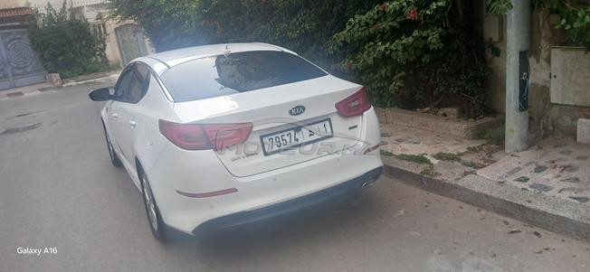 avendar kia 