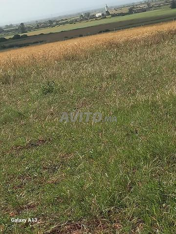 Terrain de 7500 m² - 2