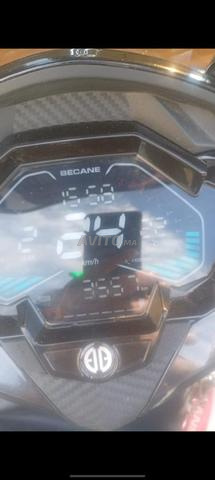 دراجة سبرينغ 2025 - 2