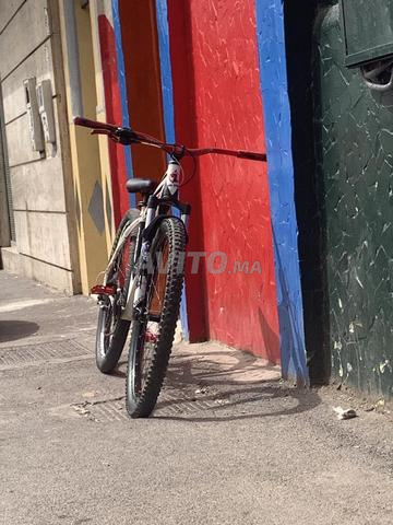 سبيشلايزد كارڤ 29 بايك لايف ستاونت إديشن - 2