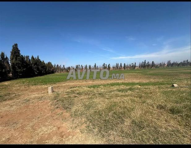 Terrains et fermes à Tnine Chtouka - 2