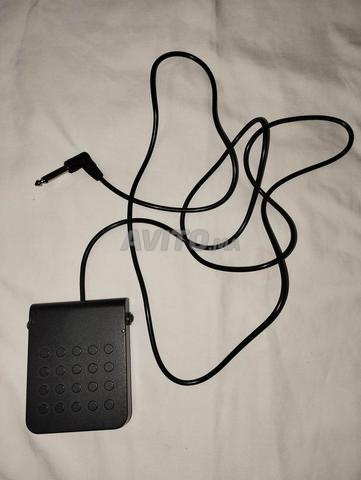 دواسة Sustain لكاسيو