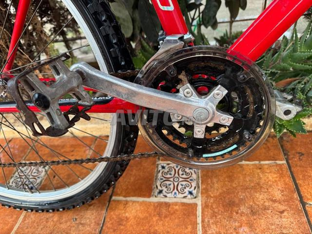 دراجة أولمو - 2