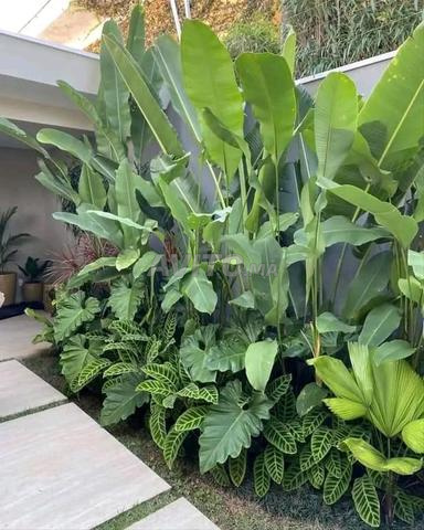 بستاني مراكش - 2