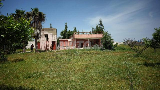 مزرعة سند ملكية 4000م2 كموني