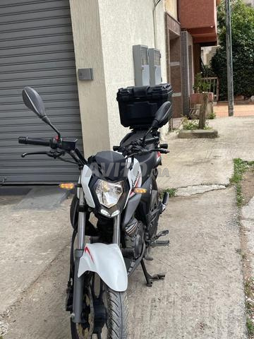 QJ MOTOR في القنيطرة - 2