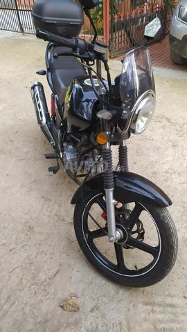 أطلس بانثر YBR50 قانونية - 2