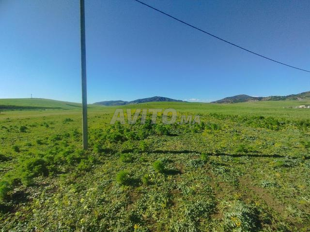 تاونات واد لحمة، المدخل الجنوبي لمدينة تاونات - 2