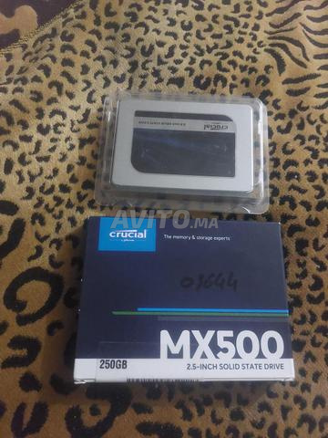 قرصان صلبان - 2