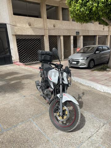 QJ MOTOR في القنيطرة - 2