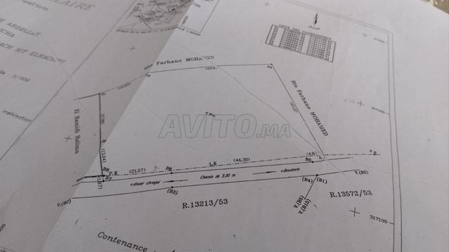 Excellente terre à vendre - 2