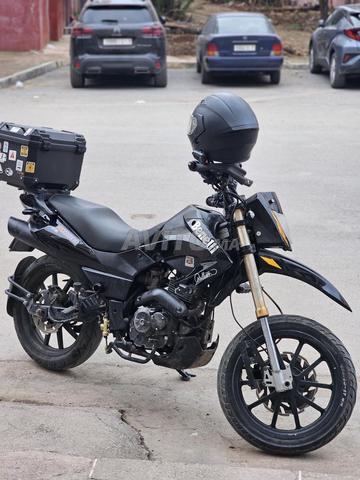 بينيلي txm - 2