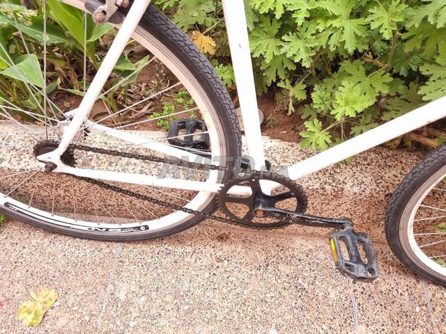 دراجة إيطالية بدون سرعات - 2