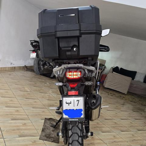 هوندا أفريكا توين 1100 - 2