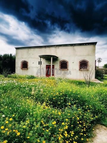 Villa à vendre 2300m² titre route de Fès km 21 Marrakech