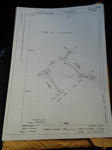 Terrain à vendre 892 m