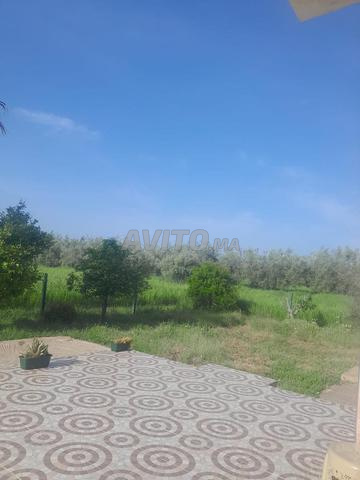 مزرعة 2.5 هكتار مع منزل - 2