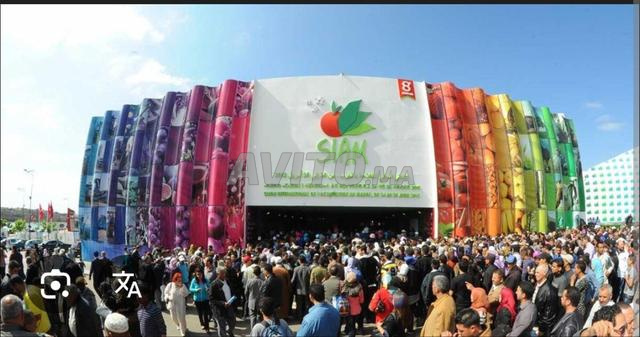 شقة مفروشة - 2