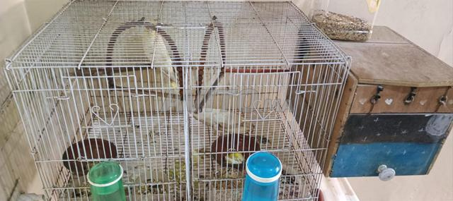 حي لحسني طريق ازمور