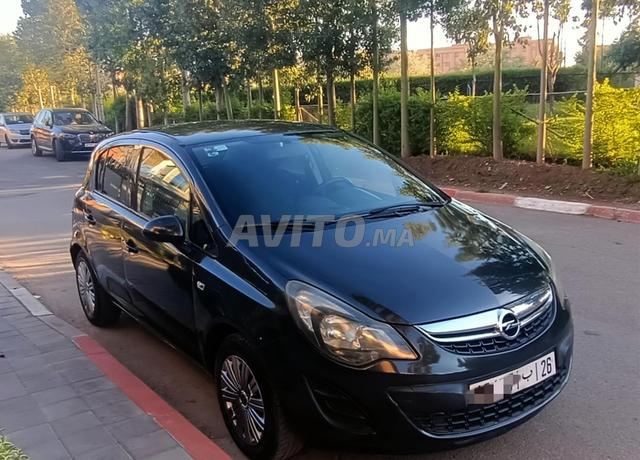 مراكش النخيل