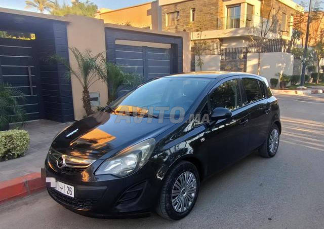 Marrakech Palmier - 2