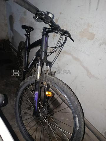 دراجة روكر رايدر - 2