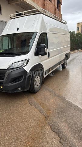 Fiat Ducato Maxi - 2