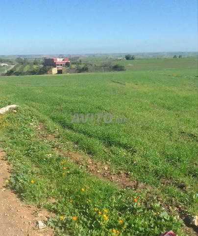 Terrain à vendre titré foncier superficie 3000m² - 2