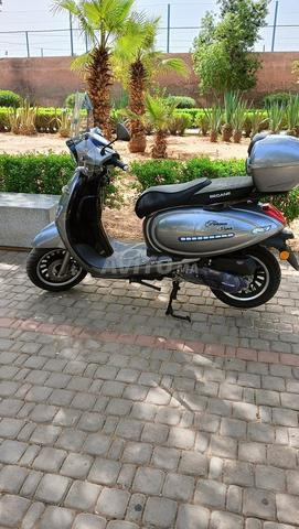 دراجة فلورانس سوبر 2025/12/23 - 2