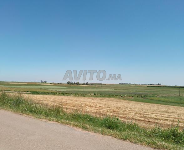 Lotissement Belad Zahra 1A, commune de Lkhyaita - 2