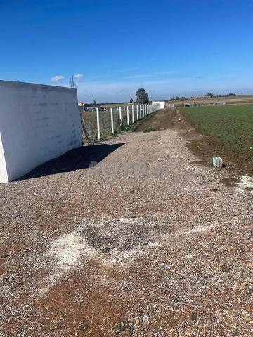 Terrain à vendre - 2