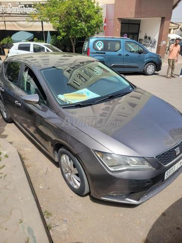 سيات ليون رمادية