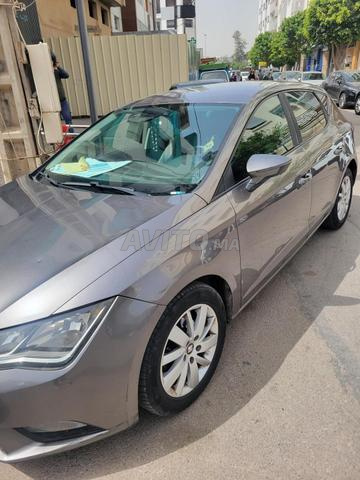 سيات ليون رمادية - 2