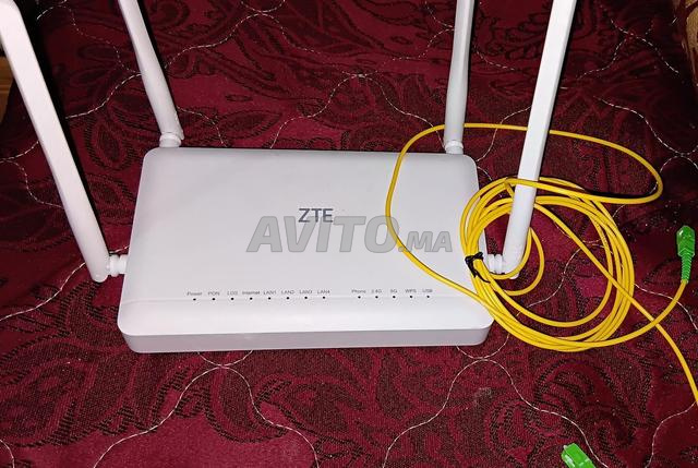 Fibre 250 normal - 2