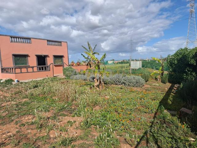 Terrain avec une maison à vendre - 2