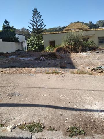 فيلا للاستخدام التجاري للبيع طنجة كاليفورنيا - 2