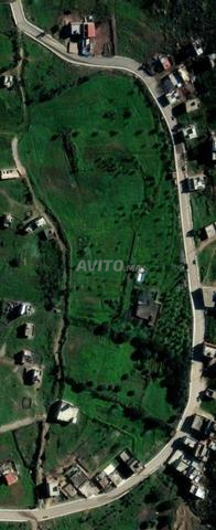 أرض للبيع بمدينة طنجة محفظة 2 هكتار ونصف - 2