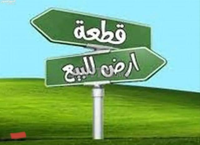 Terrain agricole titré sur goudron - 2