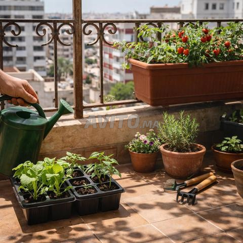 حزمة حديقة مبتدئ – مجموعة زراعة كاملة - 2