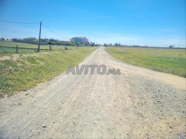 Terrains enregistrés et villas construites – Ichkeul - 2